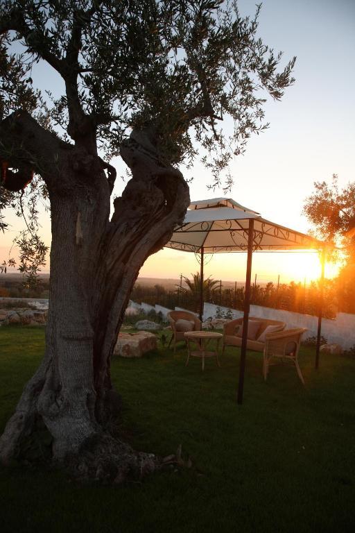 B&B Antico Carrubo Monopoli Dış mekan fotoğraf